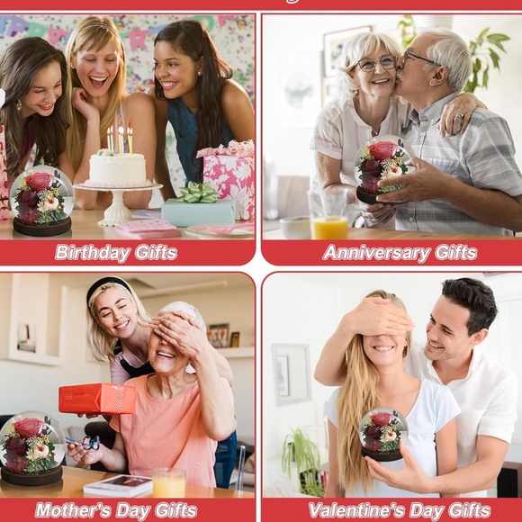 Preserved Rose Dome with Light - Picture 6 of 6